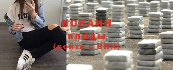 первитин Богданович