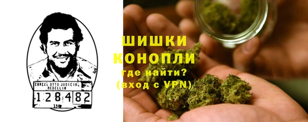 первитин Богданович