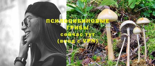 a pvp Богородск