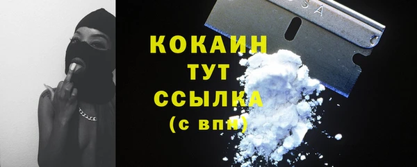 первитин Богданович