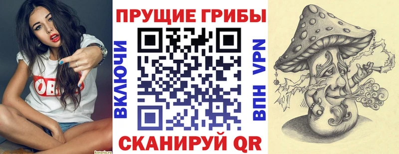 darknet Telegram  Волжск  Галлюциногенные грибы MAGIC MUSHROOMS 